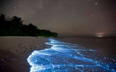 Bioluminescência em Vaadhoo, uma das ilhas Raa Atoll, nas Maldivas