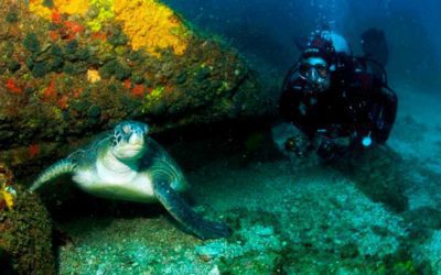 Recomendada pelo MTur, Arraial do Cabo investe em acessibilidade