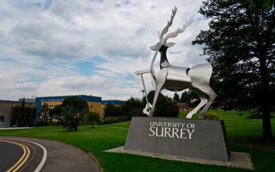 New Research Project on Accessible Tourism Won By Surrey University Team