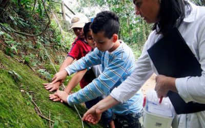 Jovem com deficiência visual é guia turístico na Mata Atlântica