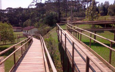 Parque Carlos Botelho, possui trilha acessível para pessoas com deficiência