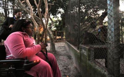 Cadeirante faz teste na nova trilha ecológica do Parque Estadual do Rio Vermelho, em Florianópolis