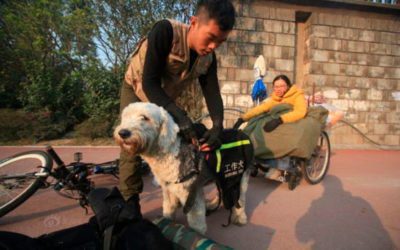 A fine romance. Man helps wheelchair-bound lover travel around China.