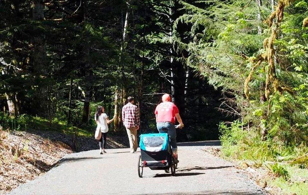 The Spruce Railroad Trail is a good choice of an accessible trail at Olympic National Park. The park continues work to make the entire 9.8-mile trail accessible.