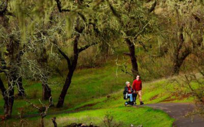 Sonoma County trails becoming more accessible for those with disabilities