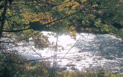 Accessible Dock for Paddlers Coming Soon To The Millers River