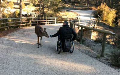 Castilla-La Mancha accesible. Rutas inclusivas a las cinco provincias.