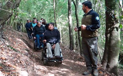 CONAF habilita sendero inclusivo 100% natural en el Cerro Ñielol