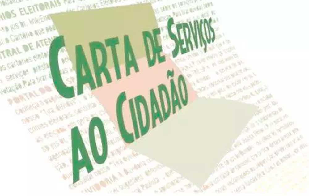 Conheça a acessibilidade no cenário eleitoral