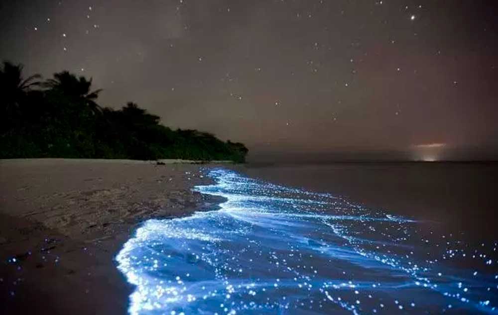 Bioluminescência em Vaadhoo, uma das ilhas Raa Atoll, nas Maldivas