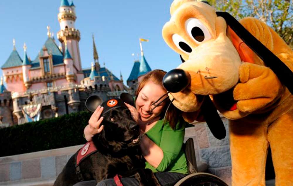 The Disney Difference For Guests with Disabilities