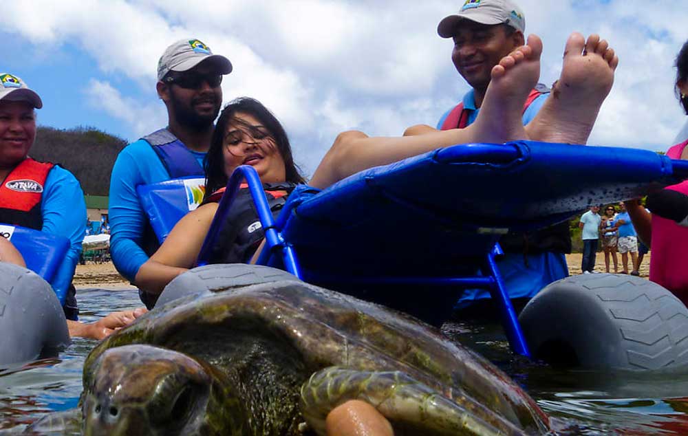 Yoko Farias, 28, entra no mar auxiliada com uma cadeira anfíbia e observa uma tartaruga marinha