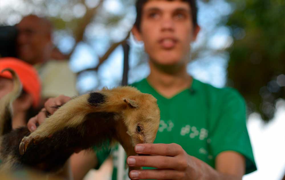 Em visita ao zoo, alunos com deficiência visual do Centro Educacional Setor Leste de Brasília puderam conhecer diversos animais por meio do toque