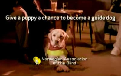 ‘Revenge of the Puppy’, a commercial by Norwegian Association of the Blind