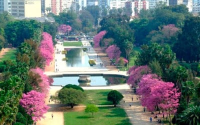 Cidades gaúchas investem em estrutura acessível