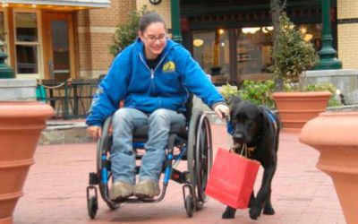 Houston police to disabled vet blocked from restaurant: ‘You don’t need a dog’