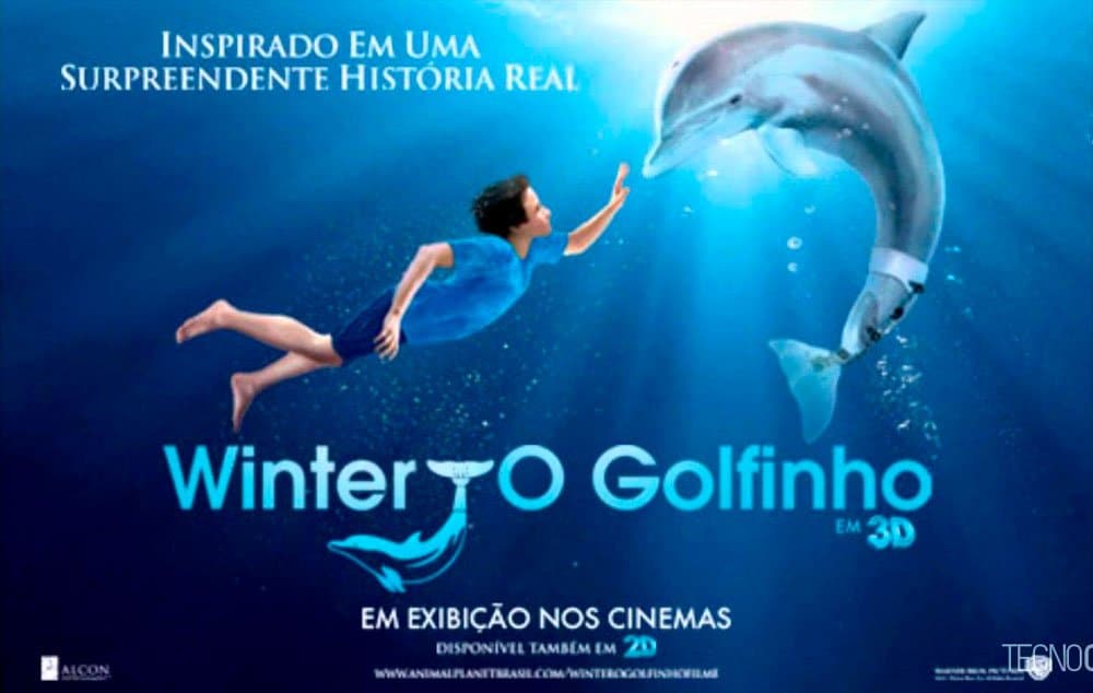 Capa do Filme 'Winter o Golfinho' (Dolphin Tale)