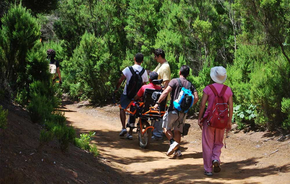 Actualmente están en redacción estudios sobre la accesibilidad en el monumento natural de Los Barruecos