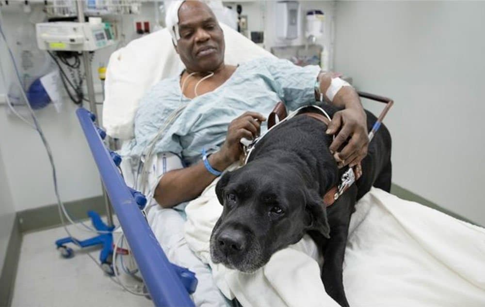 Cecil Williams que é cego, passou mal no metrô de Nova York e foi protegido pelo seu cão-guia Orlando