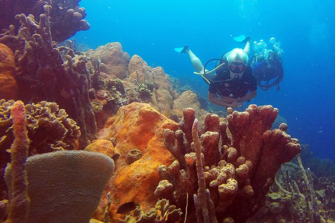 BUCEAR EN EL CARIBE COLOMBIANO COMO TERAPIA PARA El director de Diving Planet, Andrés Obregón, creó esta experiencia de buceo recreativo para personas con discapacidadLAS LIMITACIONES