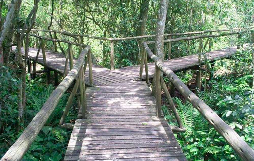 Projeto no Parque Ecológico Maracajá - SC inclui acessibilidade