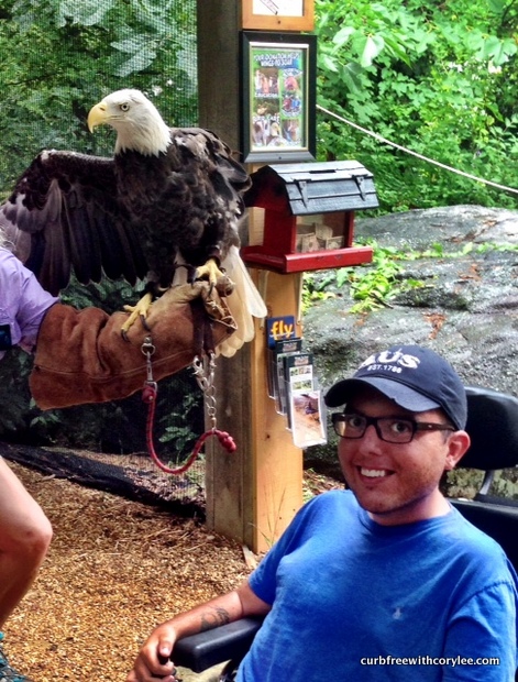 This bald eagle wasn’t too fond of me to say the least…