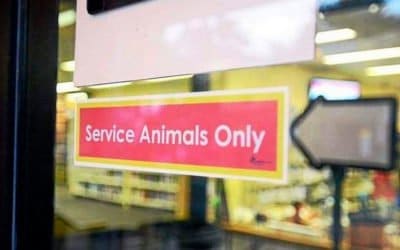 Library Accessibility for Patrons with Service or Support Animals: What You Need to Know.