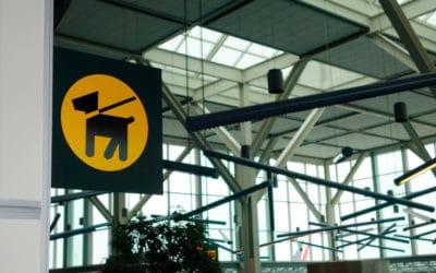 YVR’s New Accessible Pet Relief Area Ups “#PetEx”