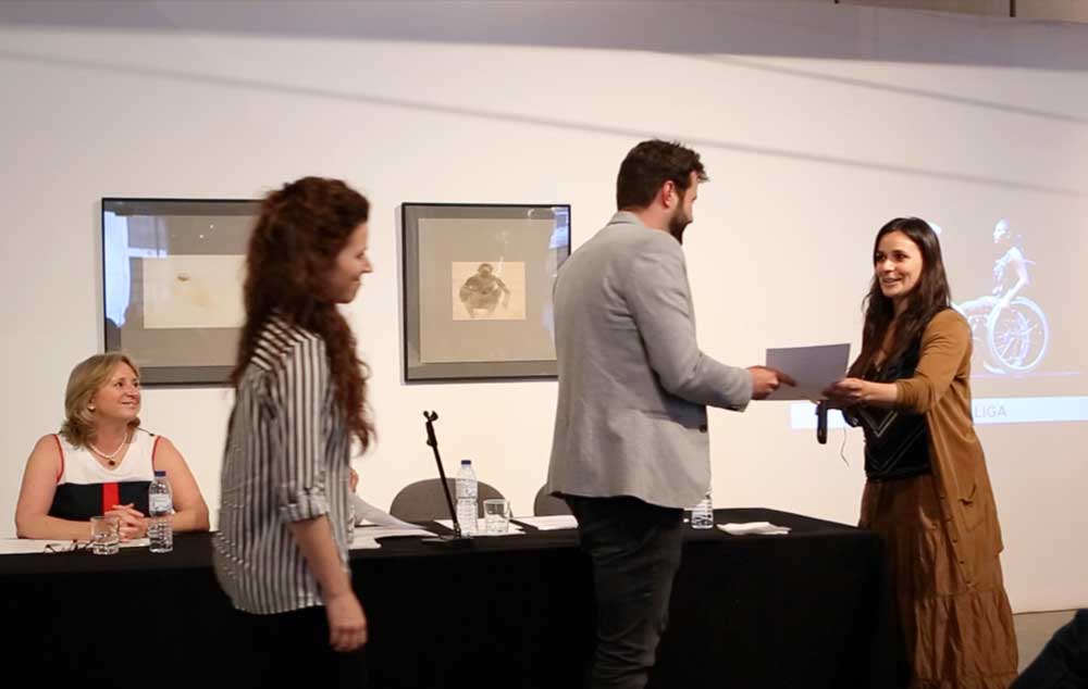 Organizados pela Acesso Cultura - Associação Cultural, criada em 2013, os prémios foram entregues numa cerimónia no Museu do Chiado.