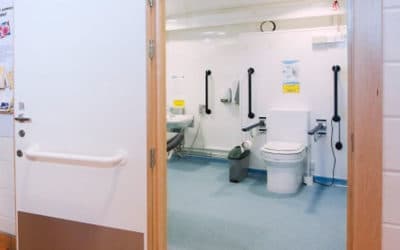 Disabled toilets: how to have a successful ‘comfort break’