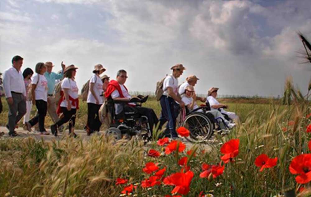 Grupo de peregrinos con personas en sillas de ruedas en el Camino de Santiago