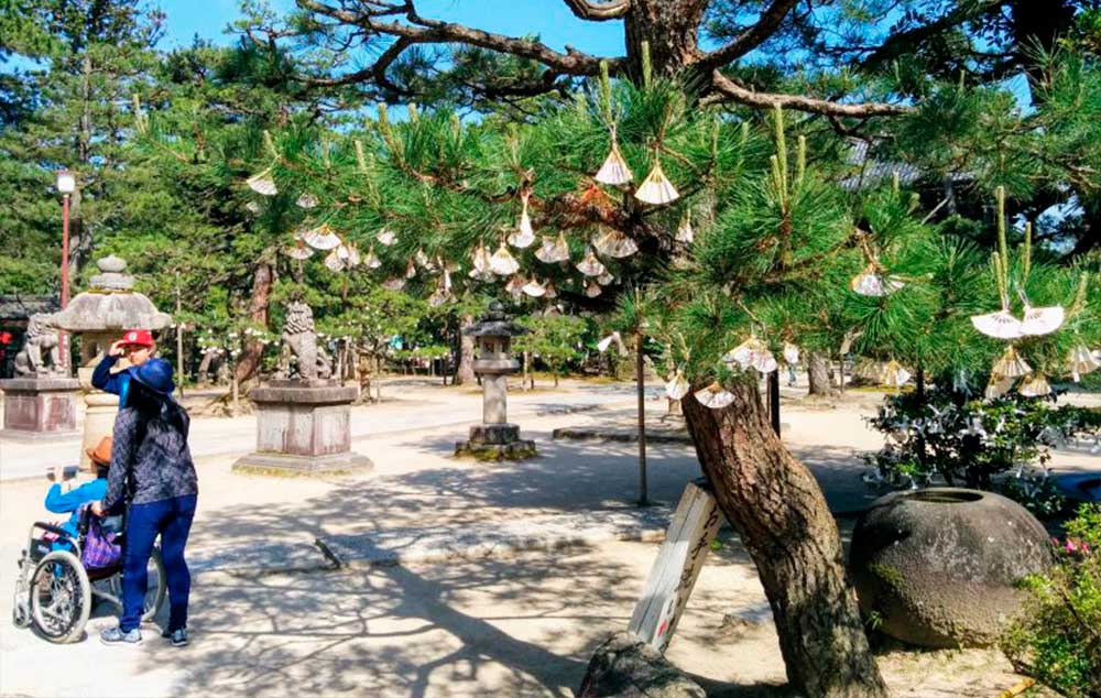 Chion Temple grounds at Amanohashidate, Kyoto, Japan. There is little to no information online in English about accessibility.