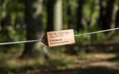 Braille trail, sensory garden, and marimba bench enliven accessible park project