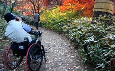 Basic Guide to Accessible Travel