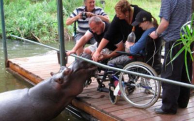 ACCESSIBLE TRAVEL: NINE ADVENTURE HOLIDAYS YOU CAN DO FROM A WHEELCHAIR