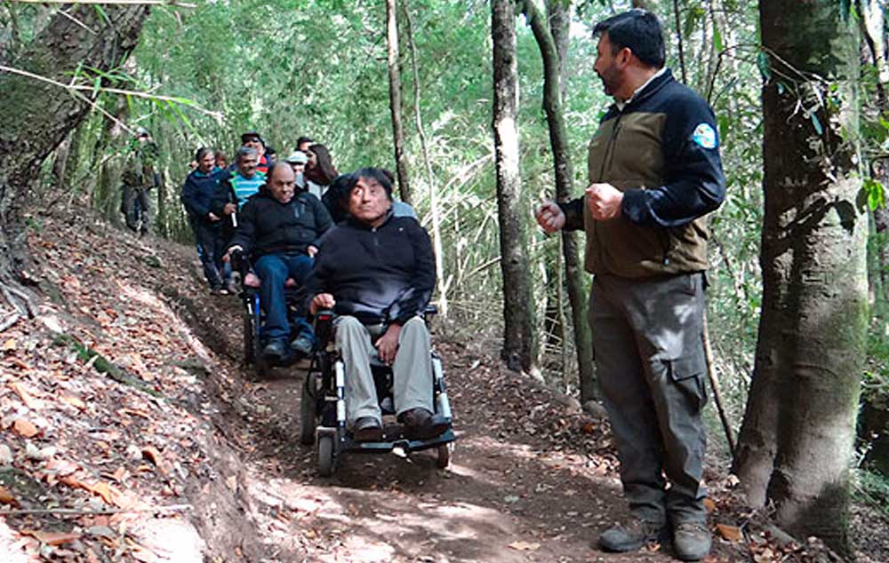 CONAF habilita sendero inclusivo 100% natural en el Cerro Ñielol