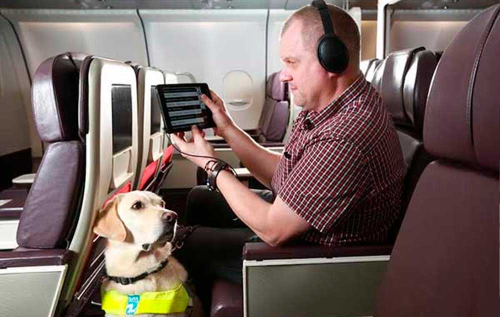 In-Flight Entertainment Accessible for Visually Impaired Passengers