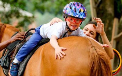 Tudo sobre Equoterapia. Saúde e qualidade de vida com a ajuda de cavalos.